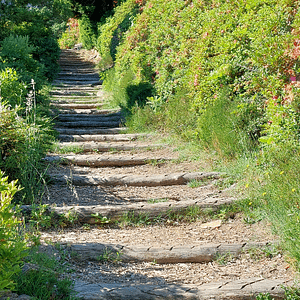 Naturtreppe aus Holzstufen, die zwischen blühenden Sträuchern nach oben führt – Symbol für Wachstum, Aufstieg und bewusste Schritte im Leben und Business