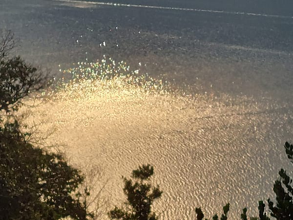 Goldenes Sonnenlicht spiegelt sich auf einem ruhigen See – Symbol für Klarheit, Ausrichtung und inneres Leuchten
