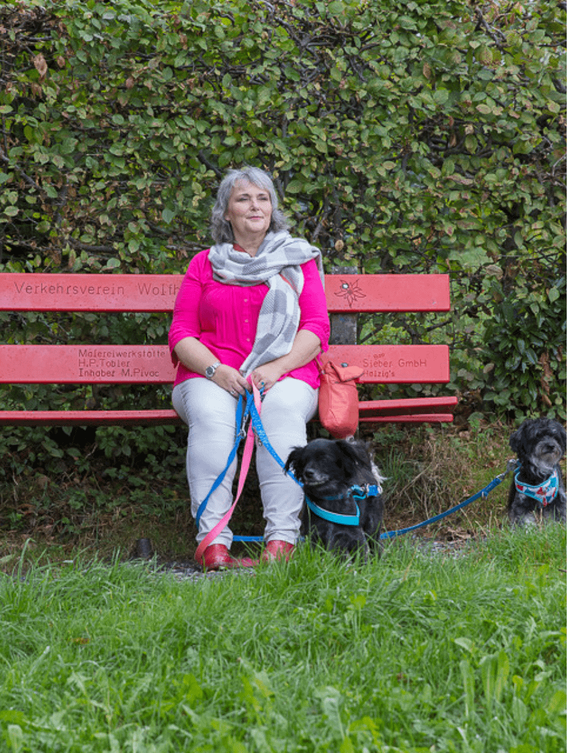 BusinessMedium sitzt mit ihren Hunden auf einem roten Bänklein im Wald und blickt vorausschauend in die Zukunft.
